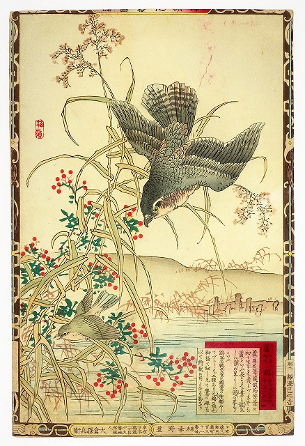 ㉑花鳥画・短冊絵・柱絵等 | 山星書店 浮世絵 Yamaboshi-Shoten Ukiyo-e